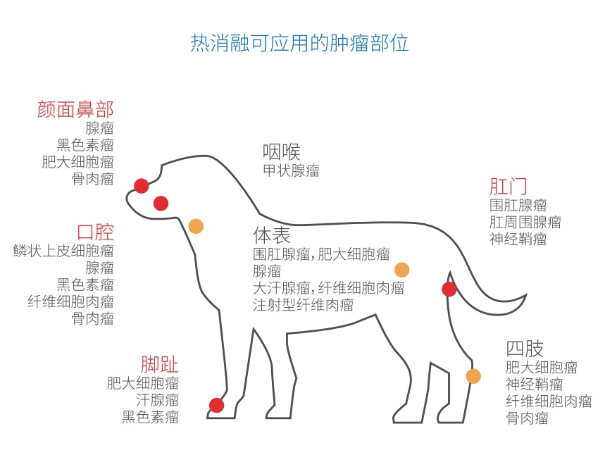 Mitax 肿瘤热消融治疗仪